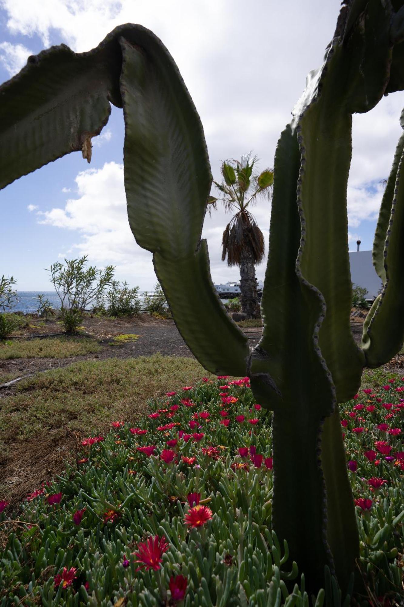 Casa La Seba Villa Punta Mujeres Buitenkant foto